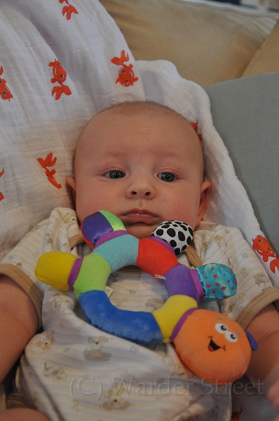 William's Eleventh Week 40.jpg